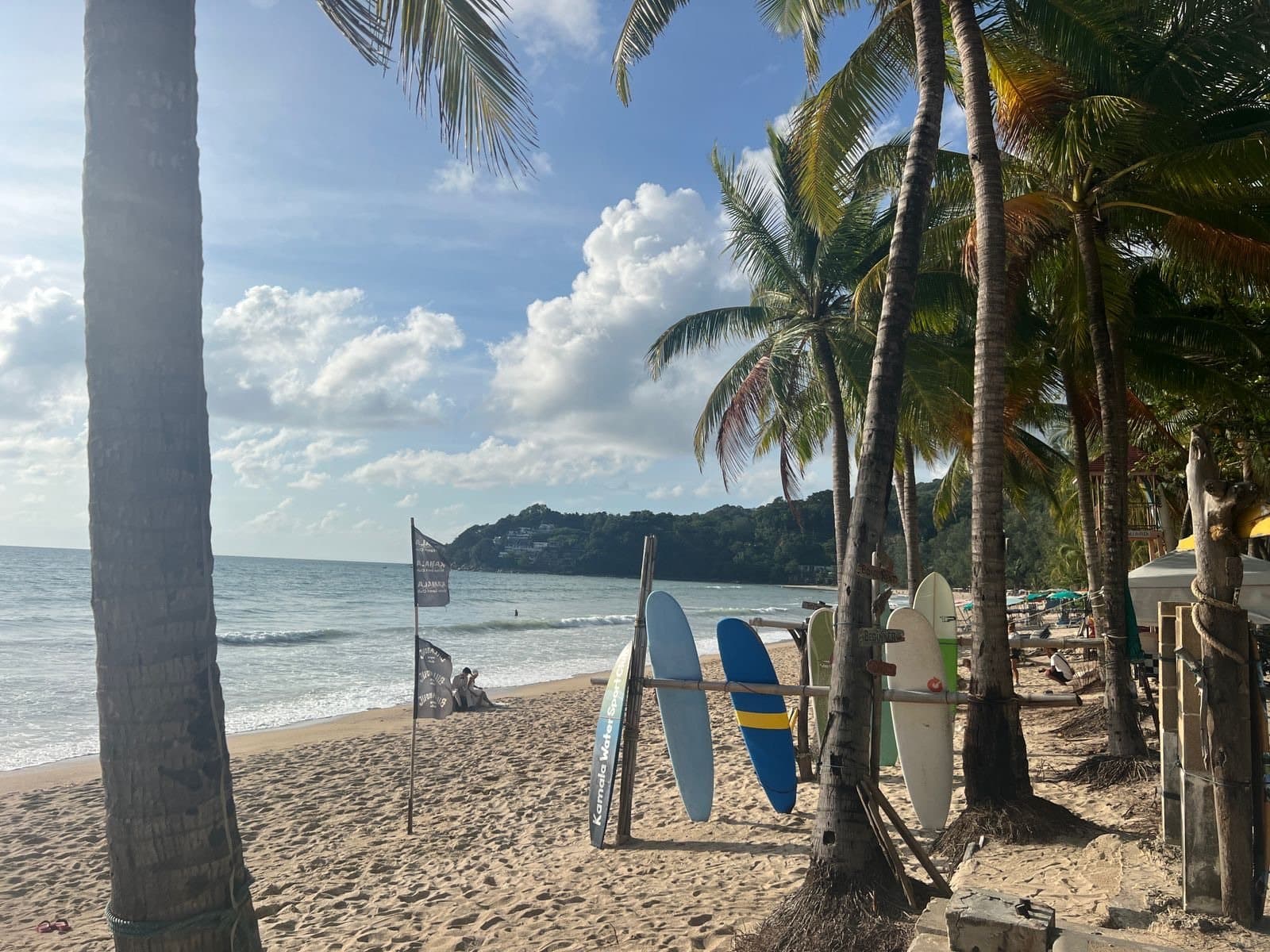 Ao Nang beach under coconut palms, with paddleboards lined up on the sand